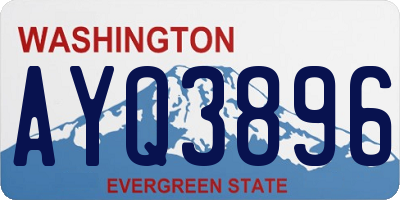WA license plate AYQ3896