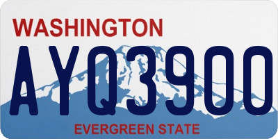 WA license plate AYQ3900