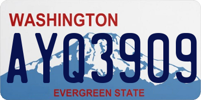 WA license plate AYQ3909