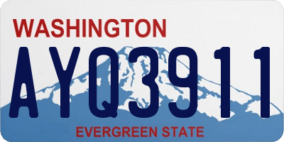 WA license plate AYQ3911