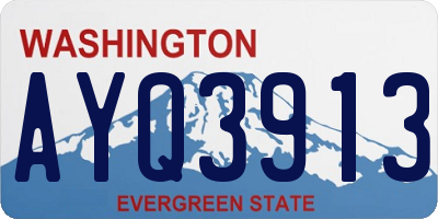 WA license plate AYQ3913