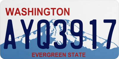 WA license plate AYQ3917