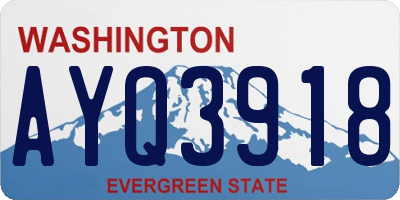 WA license plate AYQ3918