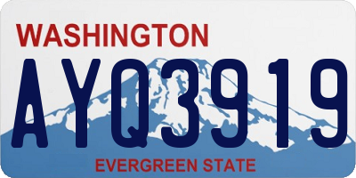 WA license plate AYQ3919