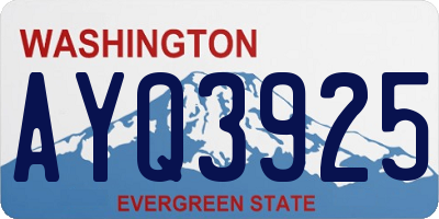 WA license plate AYQ3925