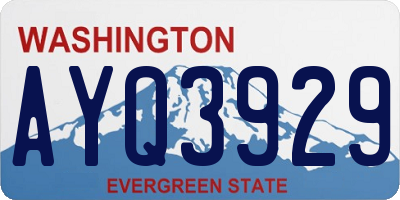 WA license plate AYQ3929