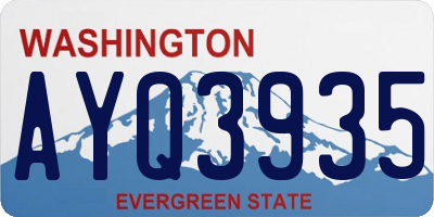 WA license plate AYQ3935