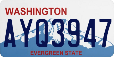 WA license plate AYQ3947