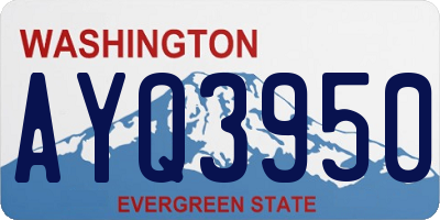 WA license plate AYQ3950