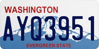 WA license plate AYQ3951