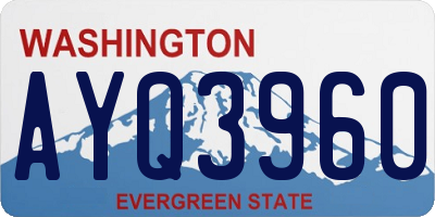 WA license plate AYQ3960
