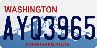 WA license plate AYQ3965