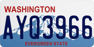WA license plate AYQ3966