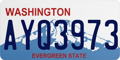 WA license plate AYQ3973