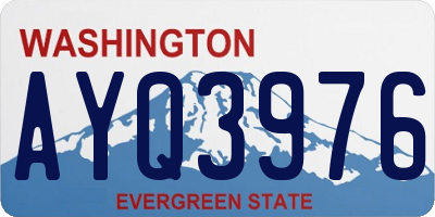 WA license plate AYQ3976