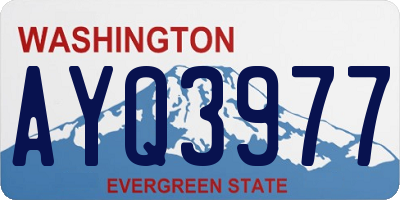 WA license plate AYQ3977