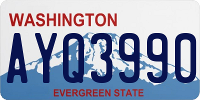 WA license plate AYQ3990