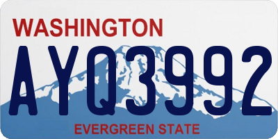 WA license plate AYQ3992
