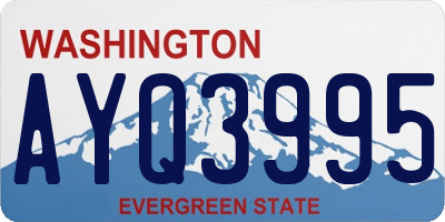 WA license plate AYQ3995