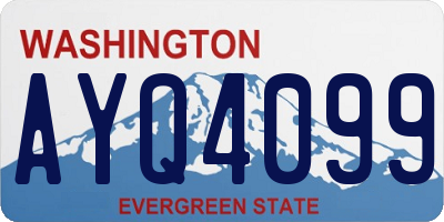 WA license plate AYQ4099