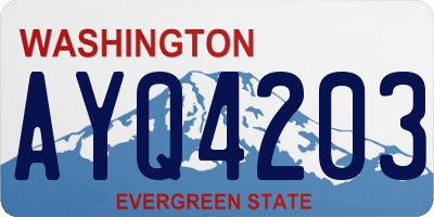 WA license plate AYQ4203