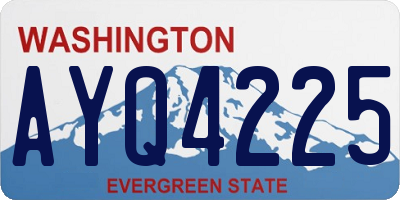 WA license plate AYQ4225