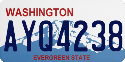WA license plate AYQ4238