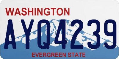WA license plate AYQ4239