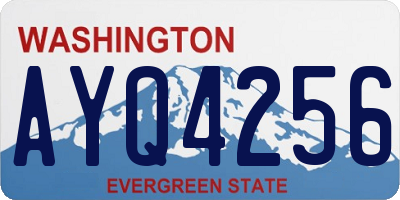 WA license plate AYQ4256