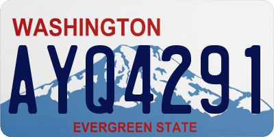 WA license plate AYQ4291
