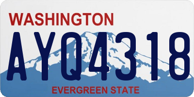 WA license plate AYQ4318
