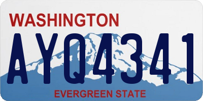 WA license plate AYQ4341