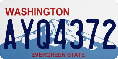 WA license plate AYQ4372