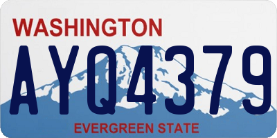 WA license plate AYQ4379