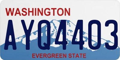 WA license plate AYQ4403