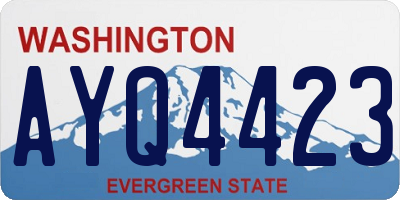 WA license plate AYQ4423