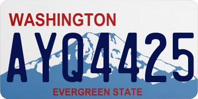 WA license plate AYQ4425