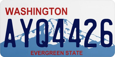 WA license plate AYQ4426