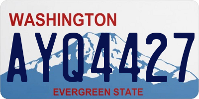 WA license plate AYQ4427