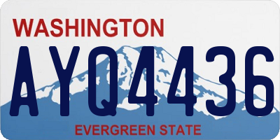 WA license plate AYQ4436