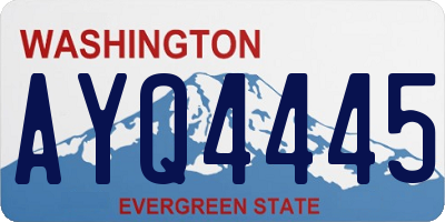 WA license plate AYQ4445