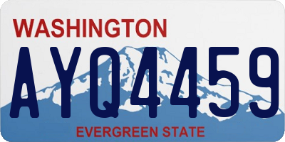WA license plate AYQ4459