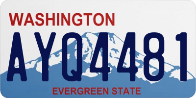 WA license plate AYQ4481