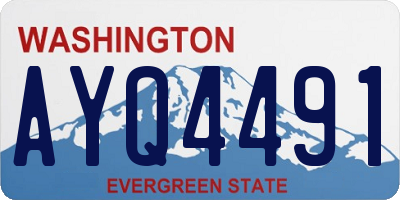 WA license plate AYQ4491