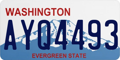 WA license plate AYQ4493
