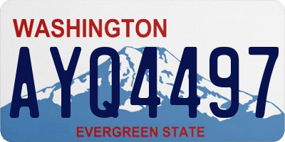WA license plate AYQ4497