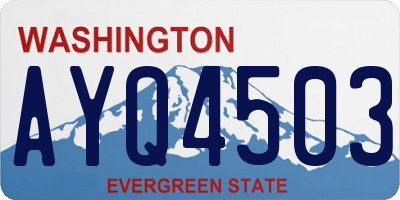 WA license plate AYQ4503