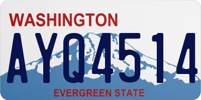 WA license plate AYQ4514