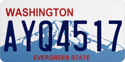 WA license plate AYQ4517