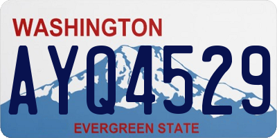 WA license plate AYQ4529